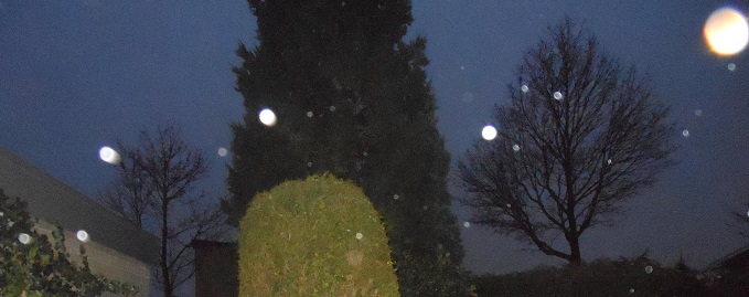 Oosterhout, februari 2013 �Monique Spangenberg