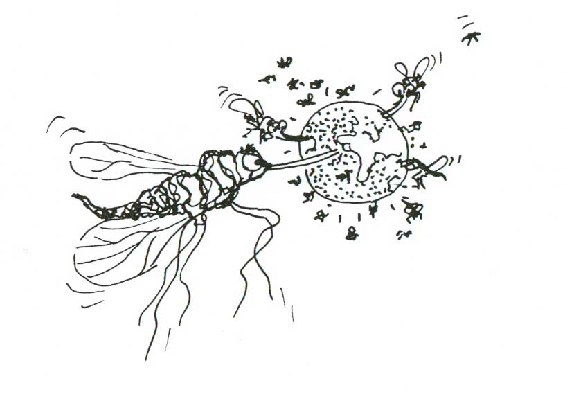 Hoe komt die parasiet, die charmante piraat, bezetter en imperialist in ons midden?